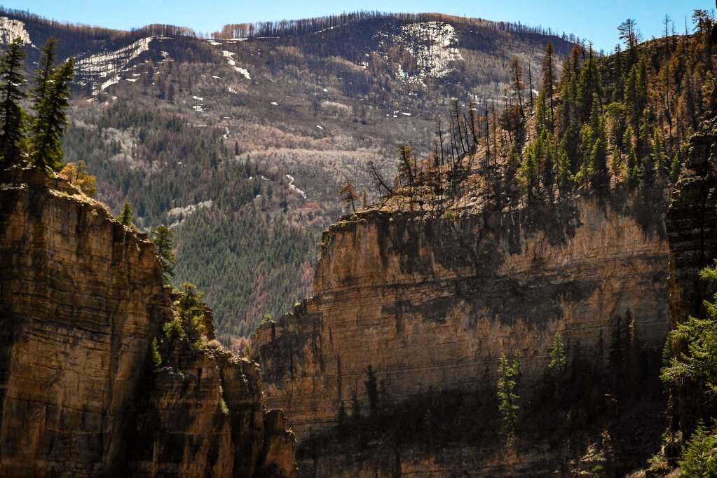 Des arbres et des falaises abruptes sont carbonisés au-dessus du sentier du lac Hanging après l'incendie de Grizzly Creek l'été dernier qui a balayé Glenwood Canyon.  | Chelsea Self / Post indépendant