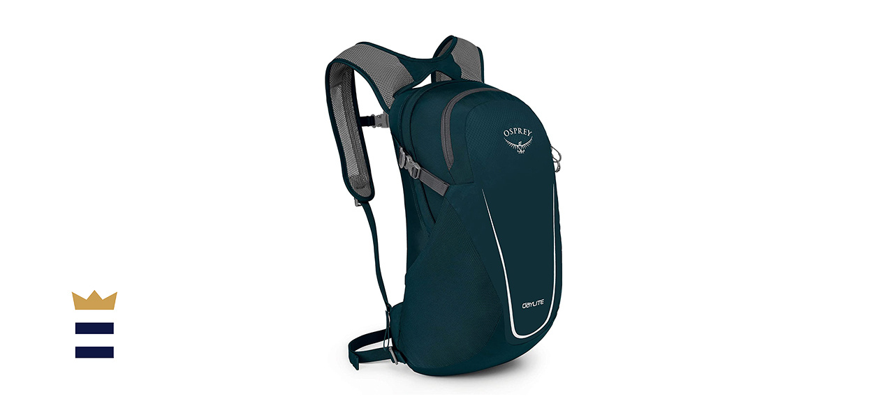 Balbuzard pêcheur Daylite